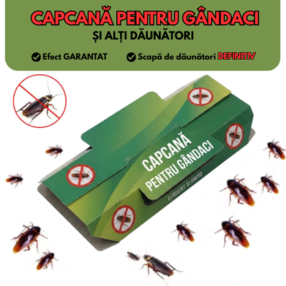 Capcană pentru gândaci și alți dăunători