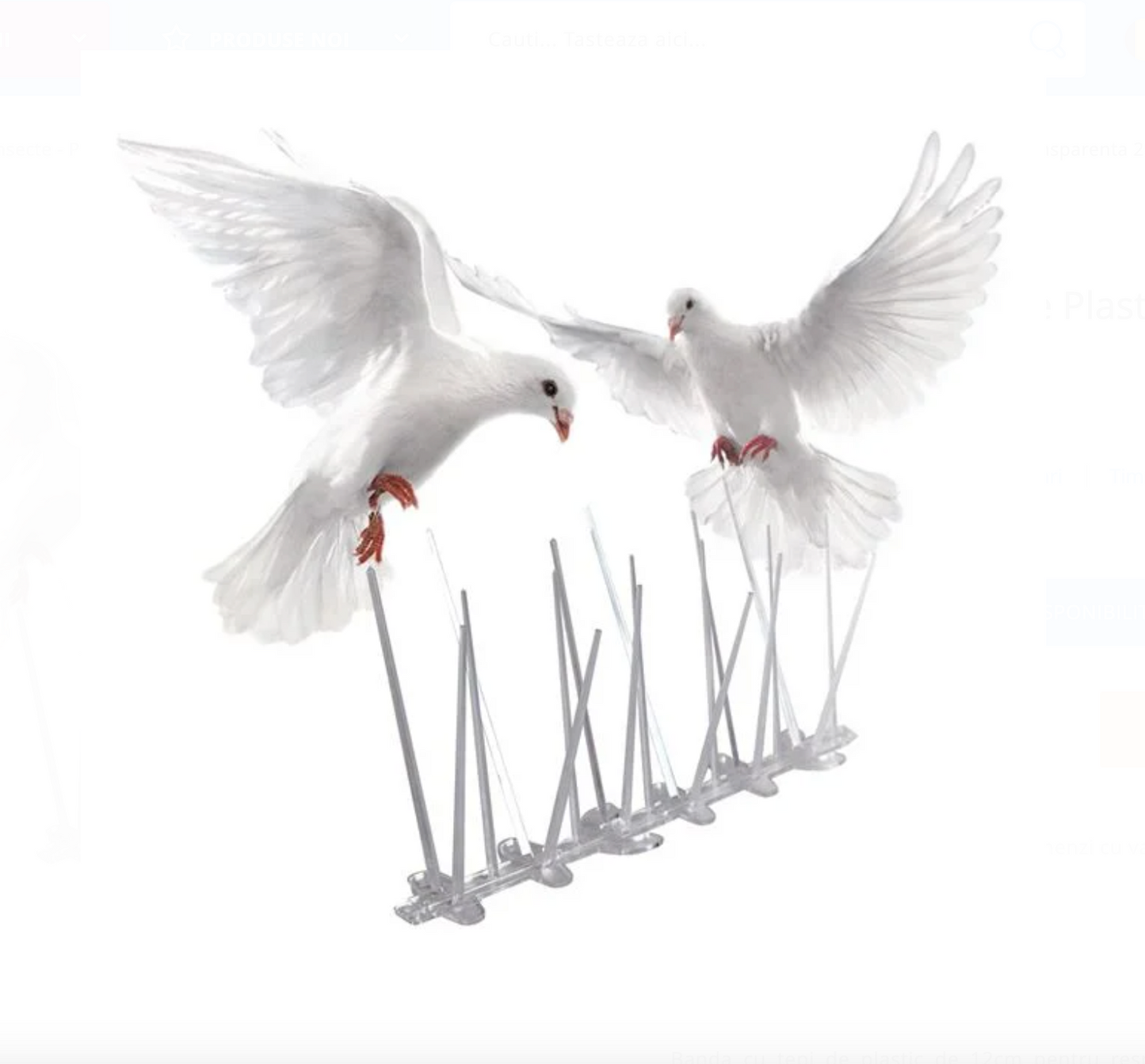 Țepi Anti-Păsări 25cm
