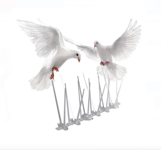 Țepi Anti-Păsări 25cm